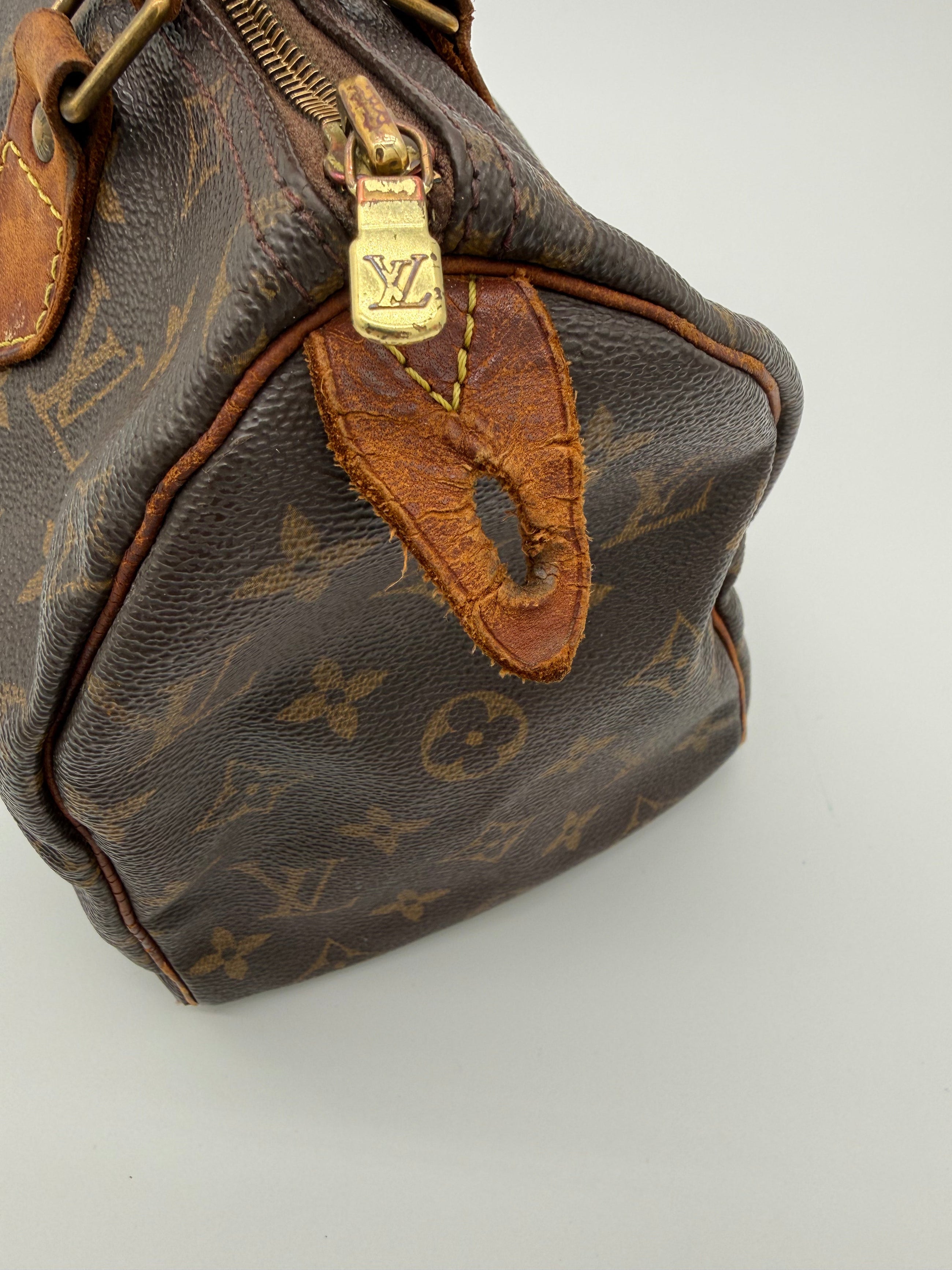 Louis Vuitton Speedy 25