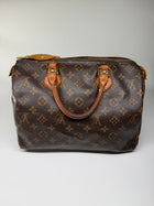Louis Vuitton SPEEDY 35